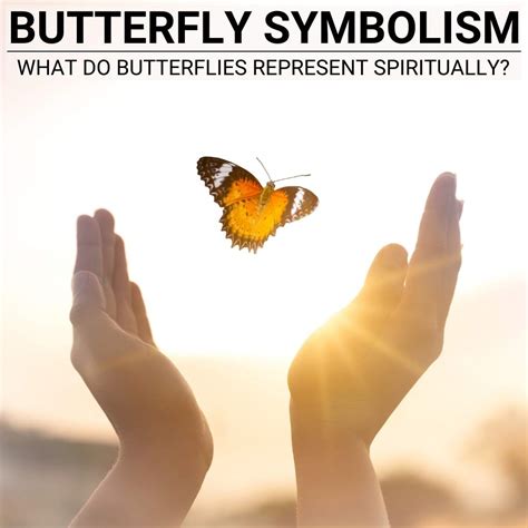Colorful Wonders: The Diversity of TDN Magic Butterflies